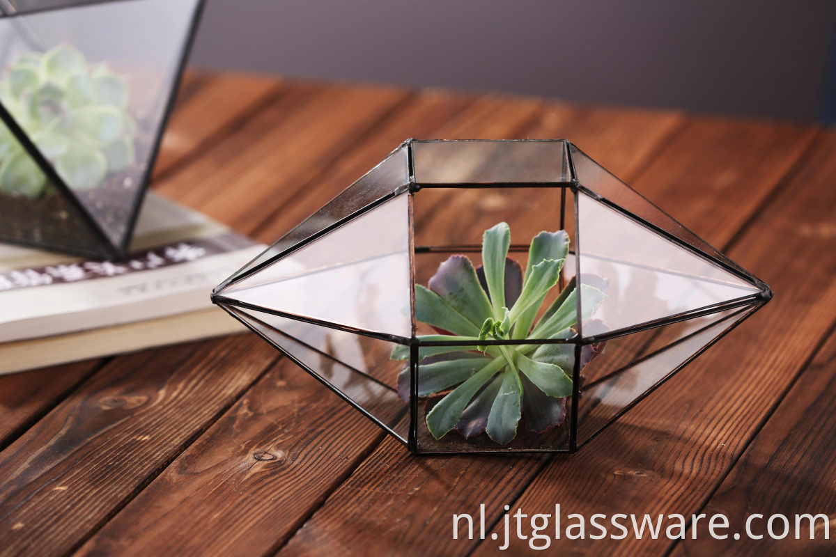  Geometric Glass Terrarium